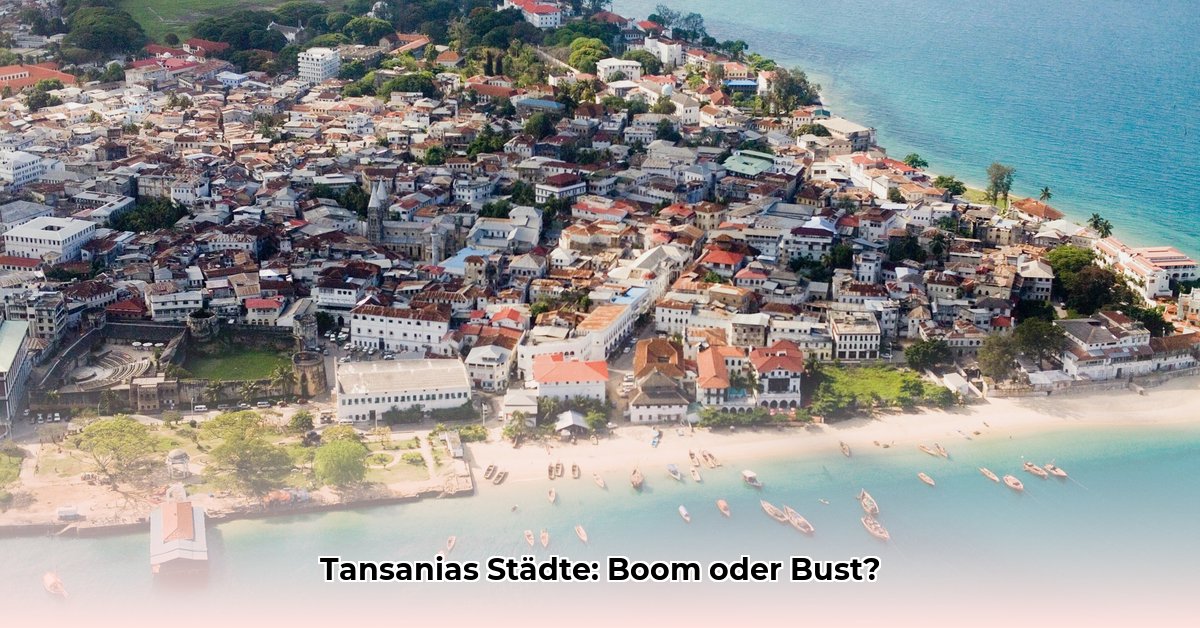 grootste-stad-tanzania